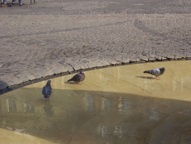 un-apres-midi-dautomne